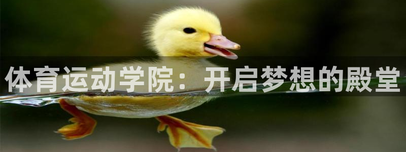体育运动学院：开启梦想的殿堂