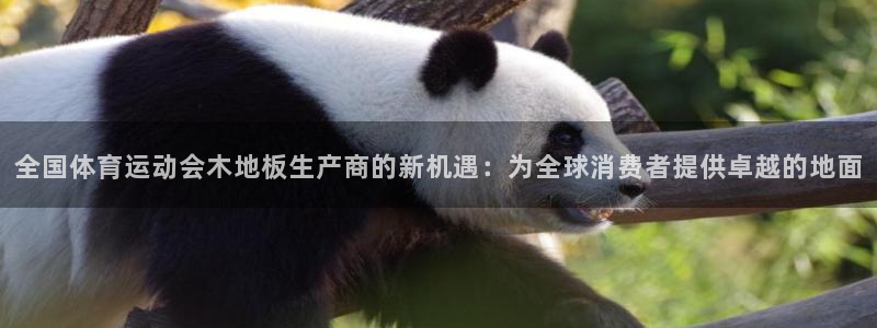 全国体育运动会木地板生产商的新机遇：为全球消费者提供卓越的地面