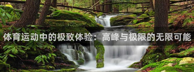 体育运动中的极致体验：高峰与极限的无限可能