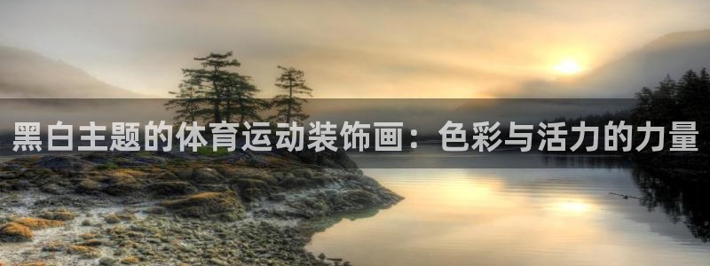 黑白主题的体育运动装饰画：色彩与活力的力量