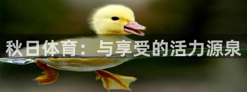 秋日体育：与享受的活力源泉