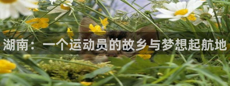 湖南：一个运动员的故乡与梦想起航地