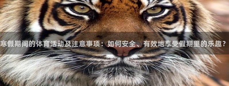 寒假期间的体育活动及注意事项：如何安全、有效地享受假期里的乐趣？